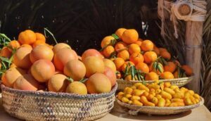 citrus festival