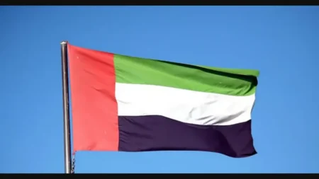 uae flag