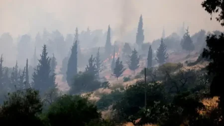 fire isreal