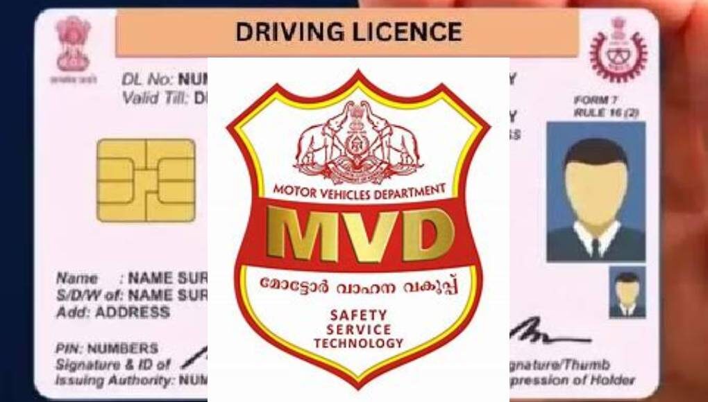 ഒന്നരലക്ഷം ഡ്രൈവിങ് ലൈസന്സുകള് മോട്ടോര് വാഹനവകുപ്പിന്റെ വെബ്സൈറ്റില് കാണാനില്ല MVD