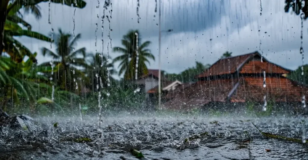 Heavy Rain