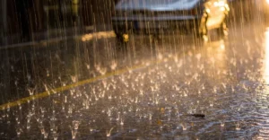 Heavy Rain