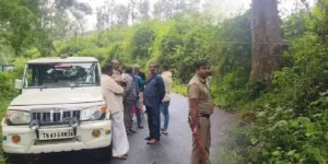 Hemachandran