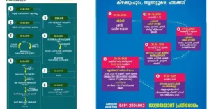 Nipa root map