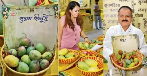 Mango festival
