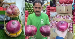 Big Onions In Dubai
