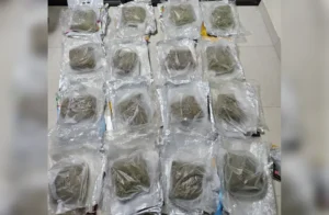 Hybrid Marijuana