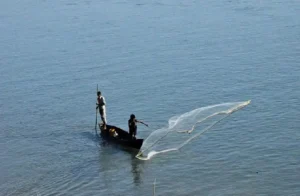fishing
