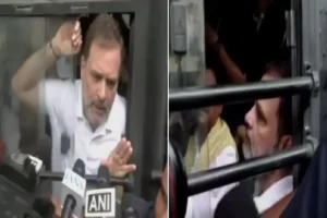 Rahul Gandi Arrested