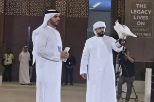 Falcon Auction