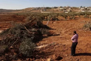 Isreal army destroy farming land in occupied west bank