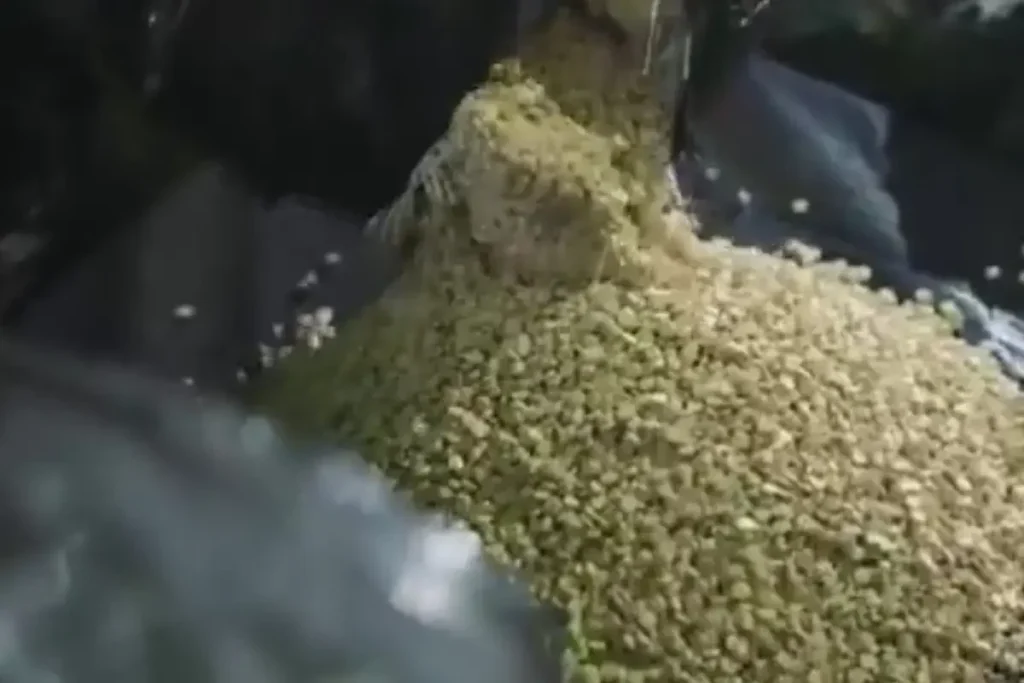 ജിദ്ദ തുറമുഖത്ത് വന് മയക്കുമരുന്ന് വേട്ട