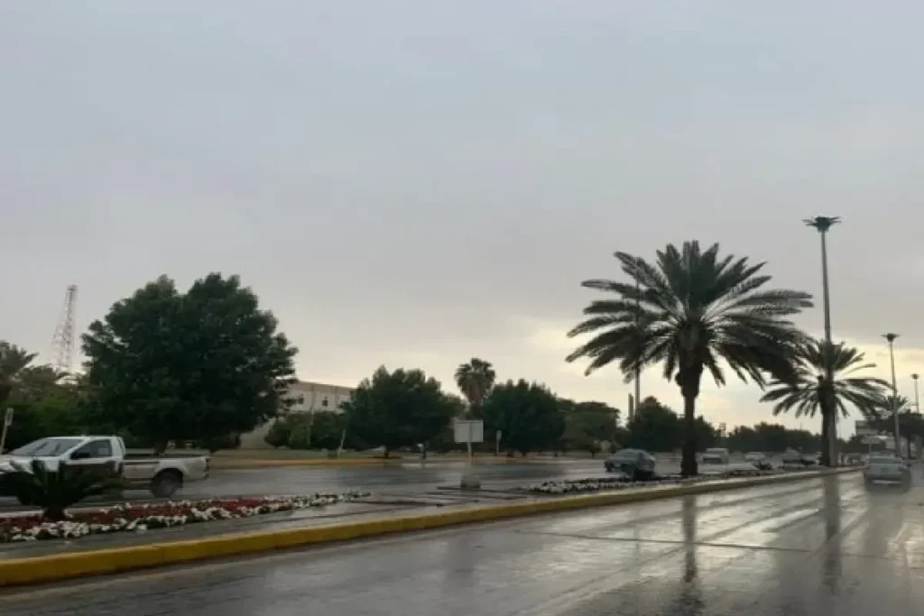 saudi rain