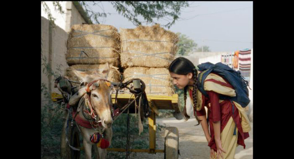 പാക്കിസ്ഥാനിലെ ഗ്രാമത്തില് നിന്നും റാബിയ ജിന്നിന്റെ കഥ പറഞ്ഞപ്പോള്