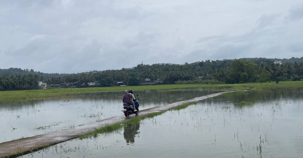 സംസ്ഥാനത്ത് മഴ കനക്കുന്നു: നാളെ ഒൻപത് ജില്ലകളിൽ അവധി; 10 ജില്ലകളിൽ യെലോ അലർട്ട്
